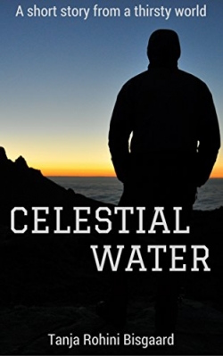 Celestial Water: A Short StoryFirst Edition