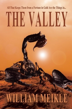 The ValleyFirst Edition